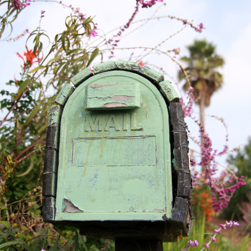 Newsletter Newsletter