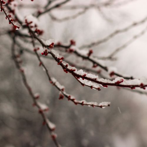 Weihnachten ohne Druck – wie du die Feiertage in deinem Tempo gestaltest