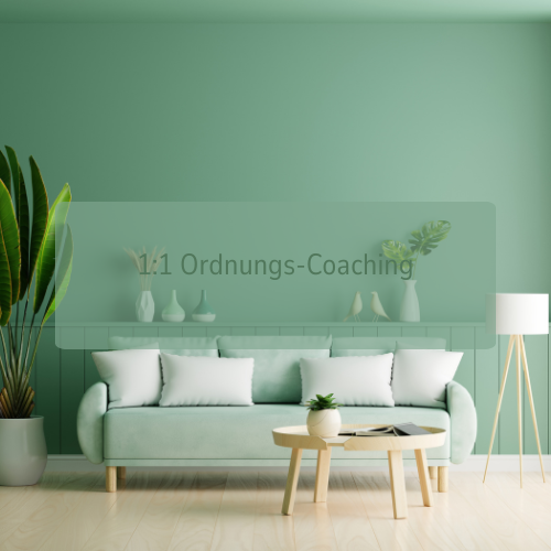 Ordnungs-Coaching