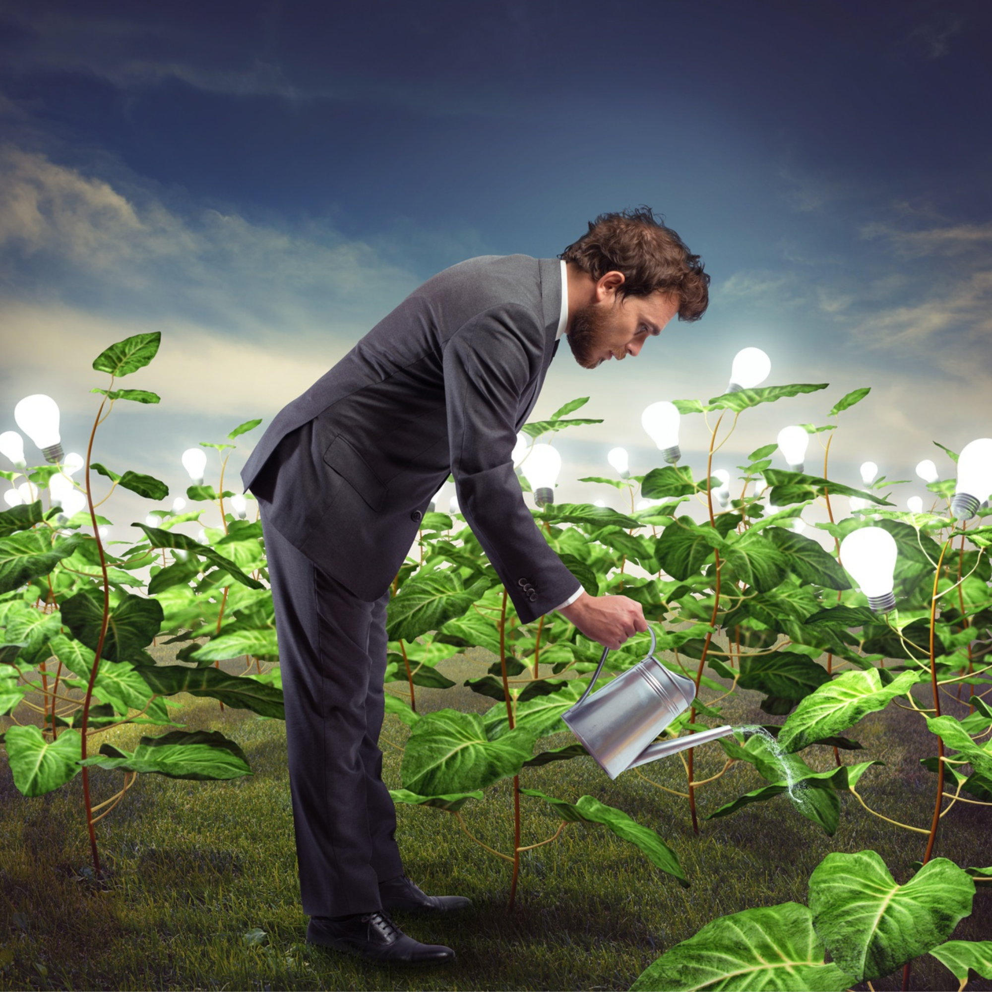 Achtsamkeit im Alltag