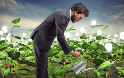 Achtsamkeit im Alltag – tue, was du tust (und lass das Jammern)