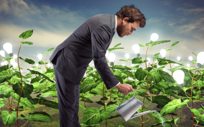 Achtsamkeit im Alltag – tue, was du tust (und lass das Jammern)