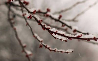 Weihnachten ohne Druck – wie du die Feiertage in deinem Tempo gestaltest